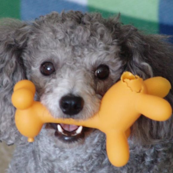 Meet your Posher, Primitive - Picture 1 of 1